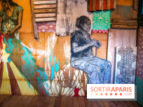 Exposition Swoon à Fluctuart