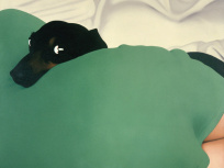 "69 année érotique" à la Galerie T&L