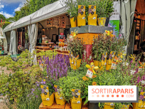 Jardins Jardin aux Tuileries 2019