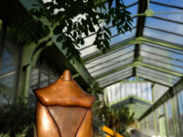 Carapaces et Sortilèges au Jardin des Plantes