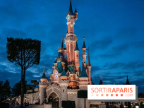 Visuels Disneyland Paris château nuit