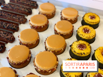 The French Bastards - rentrée 2019