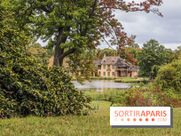 Le parcours des Arbres Admirables dans le domaine du château de Versailles