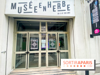 Walk the Line with L’ATLAS, l'epo au Musée en Herbe