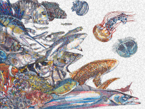 Les petits poissons de Namiko