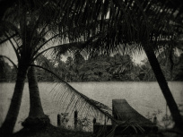 L'Odeur de la nuit était celle du jasmin : l'expo photo à l'Académie des Beaux-Arts