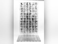 Vie Digitale, l'exposition de Rodolphe Barsikian à la Galerie Joseph