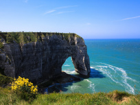 Confinement : l'Eure et la Seine-Maritime possèdent leur propre attestation en langue normande !
