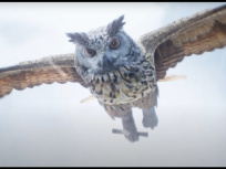 Hogwarts legacy trailer