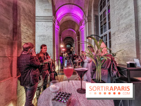 Les Ambassadeurs, le nouveau bar du Crillon.