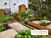 L'Hôtel des Grands Boulevards inaugure son potager suspendu