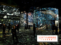 Immersive Art Festival 2019 à L'Atelier des Lumières à Paris