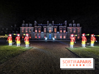 Thoiry Lumières Sauvages 2019 - photos 