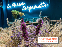 Bergamotte Kinfolk, la nouvelle collection de fleurs séchées naturellement visuel