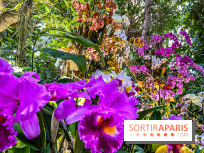 Exposition Mille et une Orchidées 2020 au Jardin des Plantes - les photos