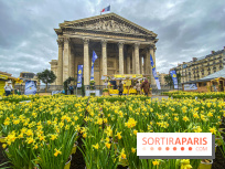 Une Jonquille pour Curie au Panthéon