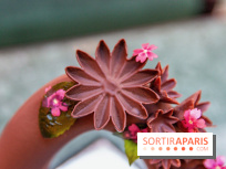 Pâques 2020 à l'InterContinental Paris Le Grand 