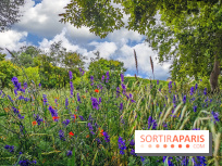 Visuel Paris Jardin des Plantes - Muséum MNHN
