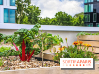 Le Perchoir ferme urbaine Porte de Versailles