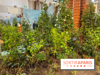 La beauté se cultive, Chanel au Jardin des Plantes