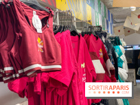 Brassière et tunique Gryffondor