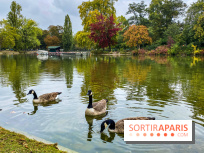 Visuel Paris, Lac Daumesnil bois de Vincennes