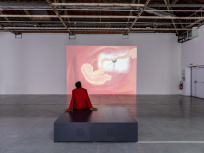 Exposition Anticorps au Palais de Tokyo