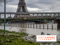 La Seine en crue février 2021