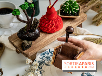 Photos : Wonderland Pâtisserie 