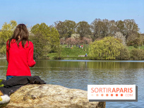Les cerisiers et arbres en fleurs de l’Arboretum de Chevreloup