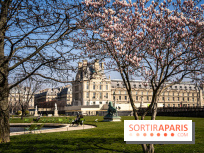 Cerisiers en fleurs à paris et aux alentours - Jardins des Tuileries - magnolias