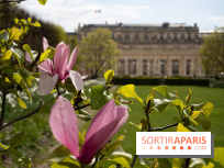 Cerisiers en fleurs à paris et aux alentours - Palais Royal