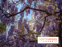 La Mosquée de Paris et son jardin en fleurs