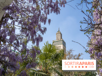 La Mosquée de Paris et son jardin en fleurs