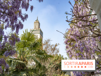La Mosquée de Paris et son jardin en fleurs
