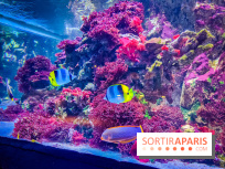 L'Aquarium Tropical de la Porte Dorée