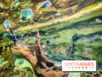 L'Aquarium Tropical de la Porte Dorée
