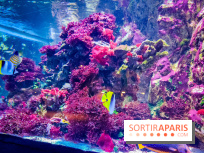 L'Aquarium Tropical de la Porte Dorée