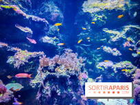 L'Aquarium Tropical de la Porte Dorée