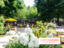 Rosa à l'Est - Porte Jaune, nos photos