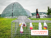 Les Extatiques 2021 : l'exposition en plein air gratuite à voir à La Défense et à la Seine Musicale