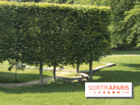 Le Domaine royal de Marly et son musée !