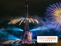 Photos feu d'artifice Paris 2021