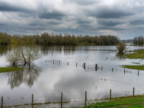 Une grande journée de sensibilisation face au risque d'inondations avec des animations à Paris