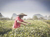Regards d'Asie, l'expo photo sur les murs de Bercy Village