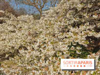 La Fête des sens s'invite au Jardin des Plantes