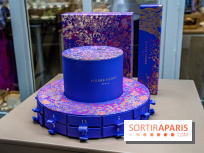 Bûches de Noël de Pierre Hermé 2021 et galettes 2022