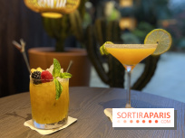 Oceania et sa terrasse en mode jardin méditerranéen à Paris