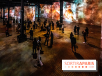 Photos : Destination Cosmos à l'Atelier des Lumières