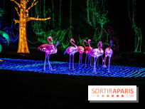 Thoiry Lumières Sauvages 2021-2022